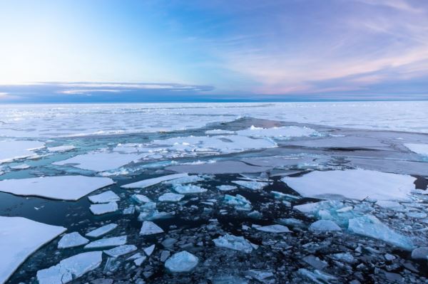 На трассе Севморпути уменьшается сплоченность ледовых массивов