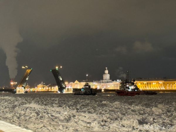 Разводные мосты Петербурга подготовят к предстоящей навигации