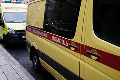 В России акробатка упала с «колеса смерти» в цирке и не выжила