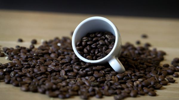 Никарагуа хочет увеличить экспорт кофе, какао, морепродуктов и фруктов в РФ