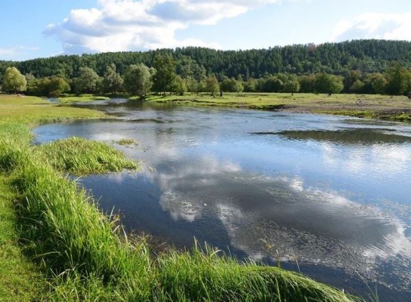 Обнаружен новый вид рыб в бассейне реки Урал - новости экологии на ECOportal