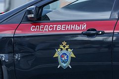 В СПЧ отреагировали на появление подражательницы маньяка Пичушкина