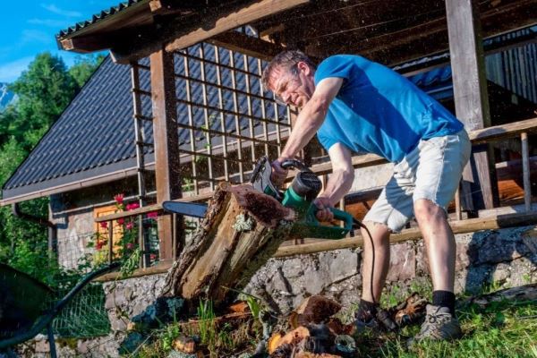 Пилю что хочу? Какие деревья нельзя срубать на дачном участке - новости экологии на ECOportal