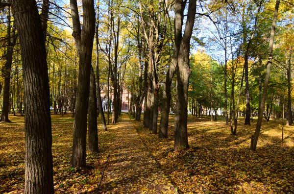 Маршрут выходного дня: лучшие усадьбы Подмосковья. Запад и Северо-Запад