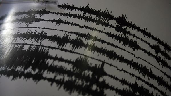 Землетрясение магнитудой 5,0 произошло на Камчатке
