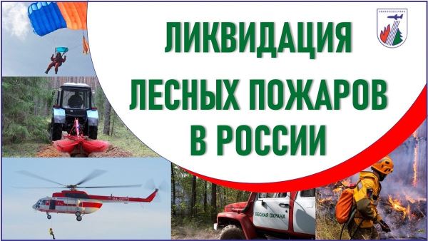 О лесопожарной обстановке в России на 24.05.2025 - новости экологии на ECOportal