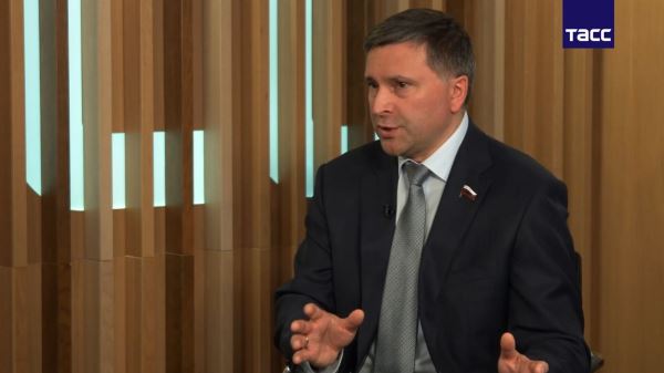 В ГД считают, что регионам надо активнее заняться профилактикой нападений собак - новости экологии на ECOportal